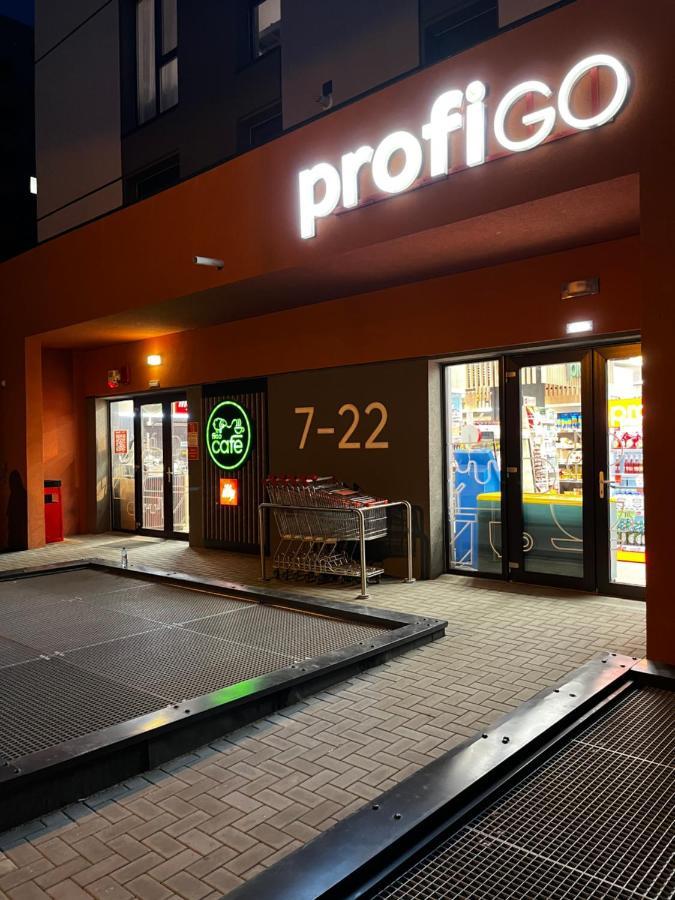 Apartament Modern Cu O Camera Timişoara Exterior foto