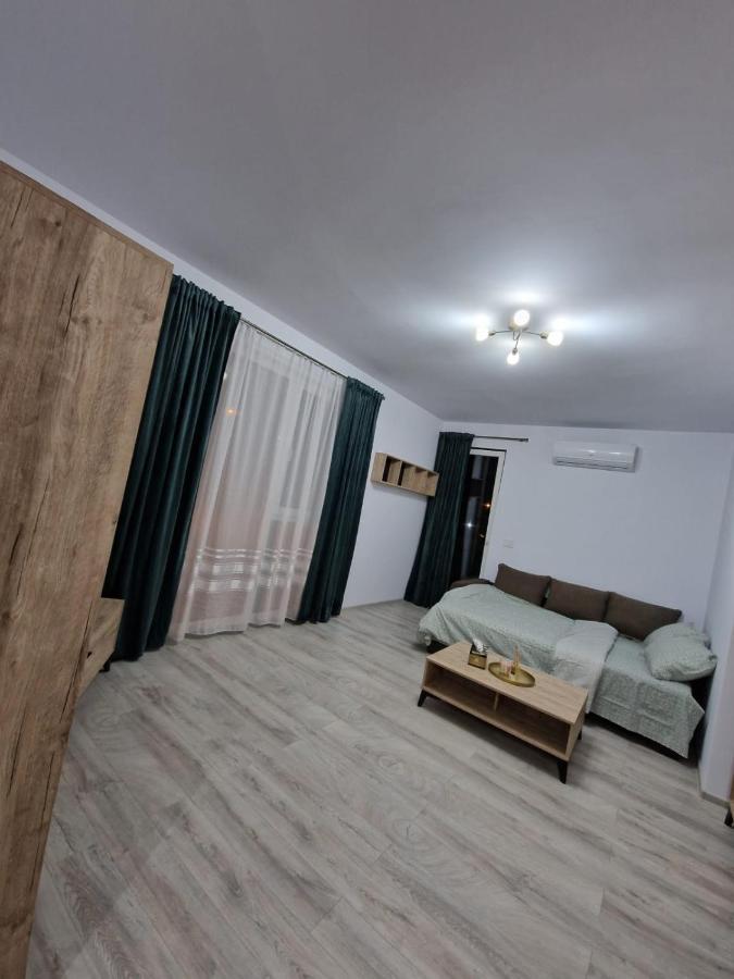 Apartament Modern Cu O Camera Timişoara Exterior foto