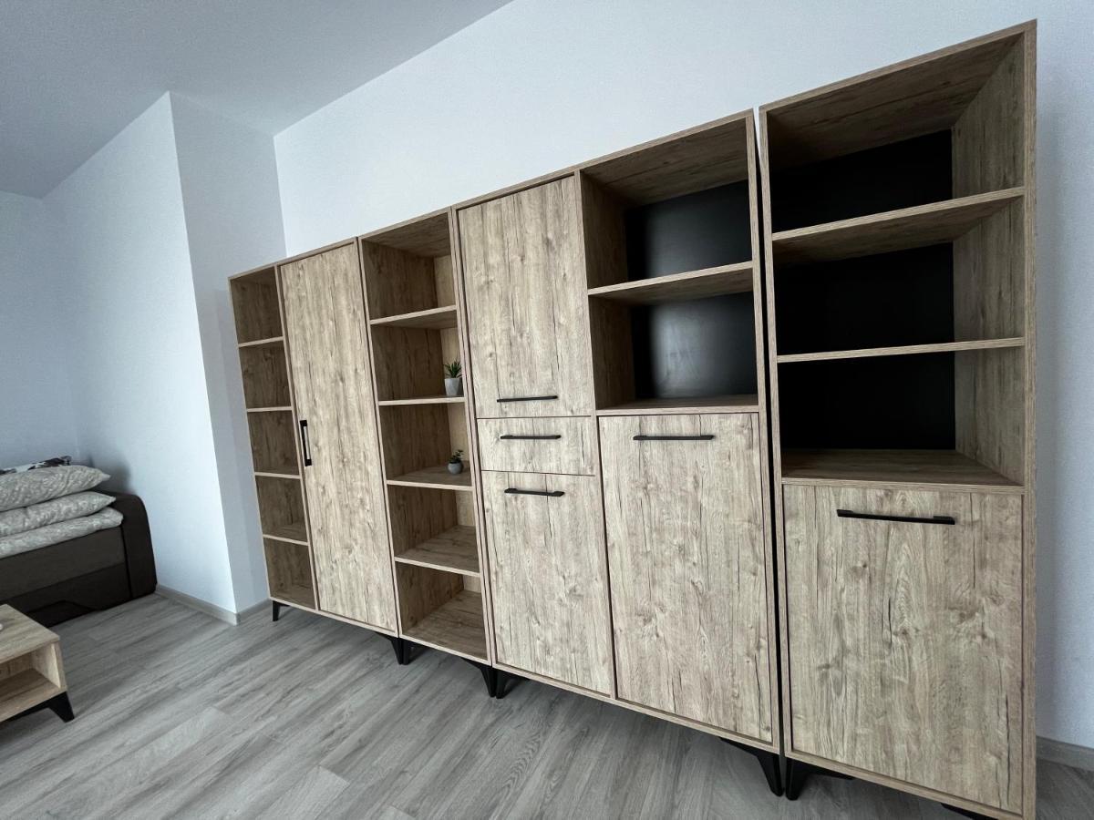 Apartament Modern Cu O Camera Timişoara Exterior foto