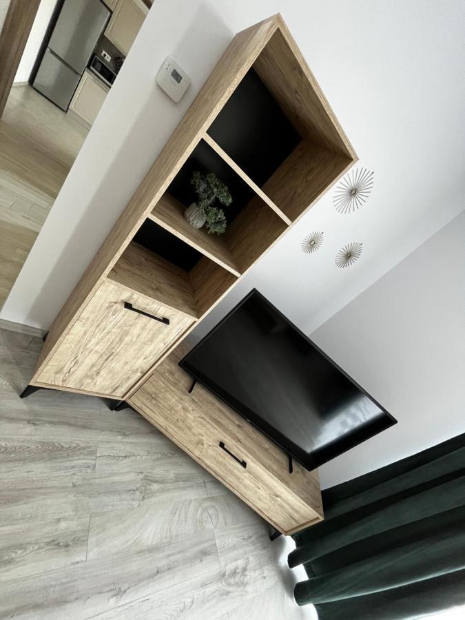 Apartament Modern Cu O Camera Timişoara Exterior foto